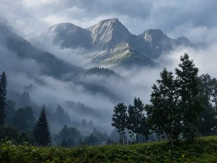 Niebla de montaña